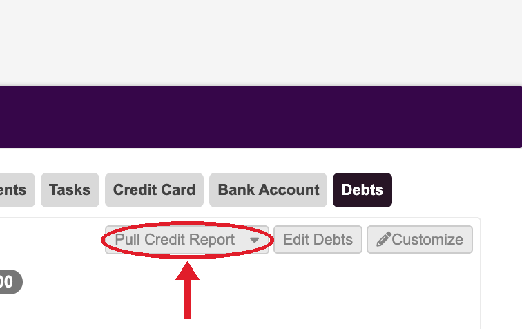 Pull Credit Report button circled in red under the Debts tab